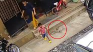 गलती से बच्चे ने सांप पर रख दिया पैर तो गुस्साए नागराज ने किया अटैक, मां ने ऐसे बचाई बेटे की जान (Watch Viral Video)
